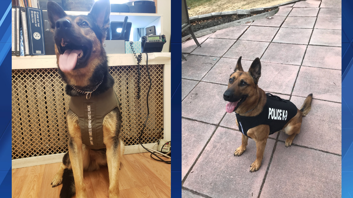 Steelton Borough Police Department K9s receive body armor