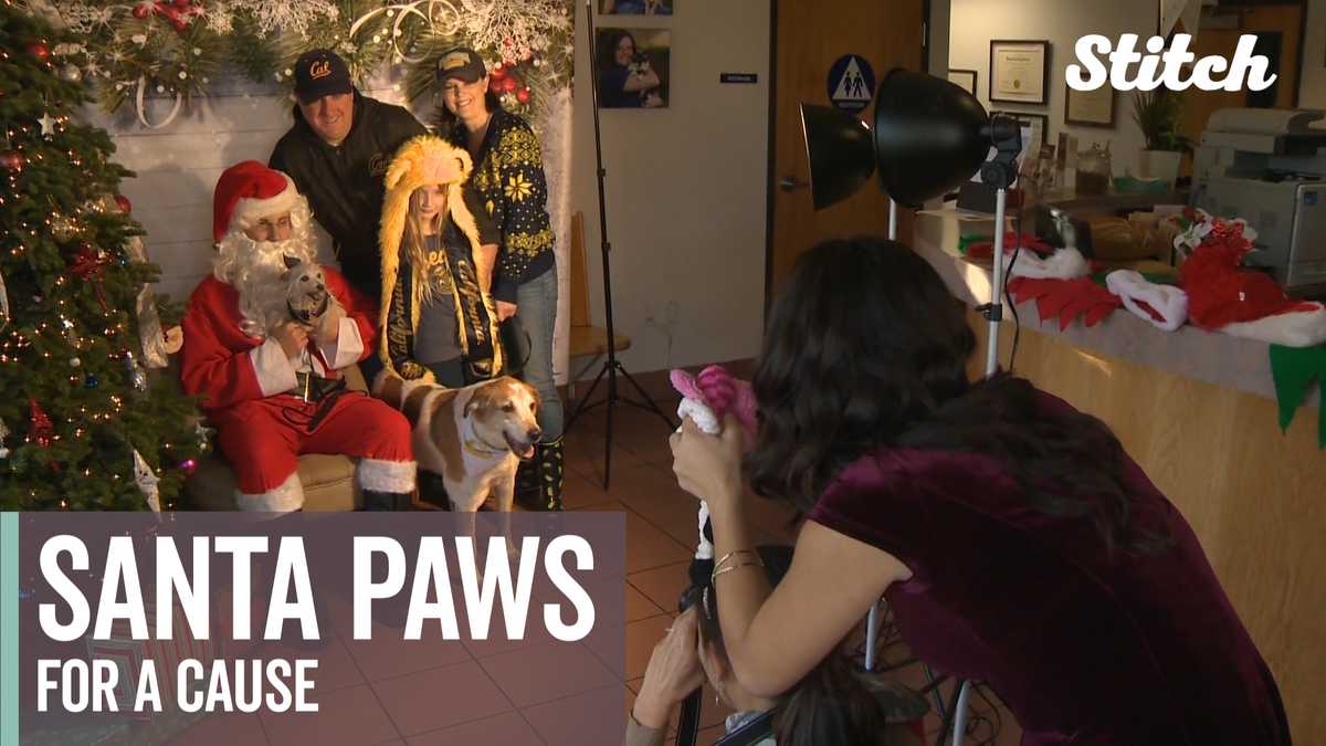 Pet photos with Santa raise money for homeless animals
