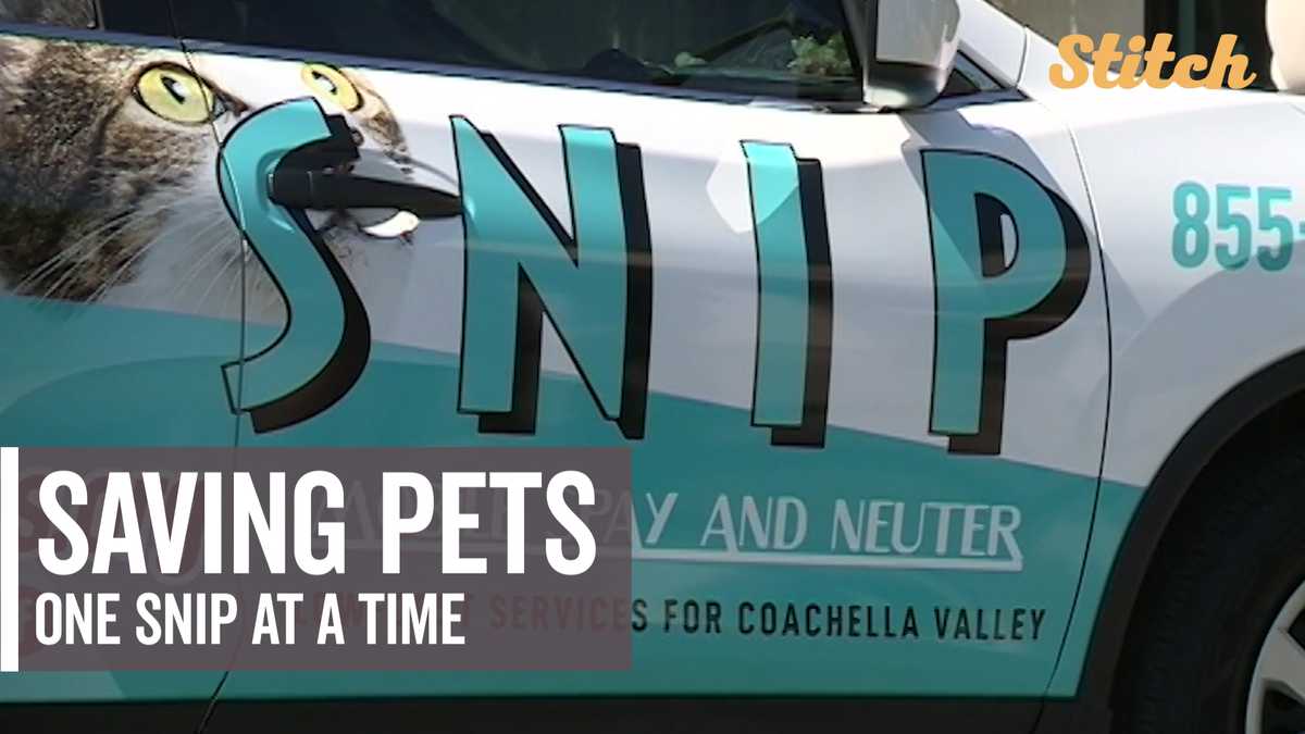 'Snip bus' makes lowcost spay, neuter services accessible to pet owners