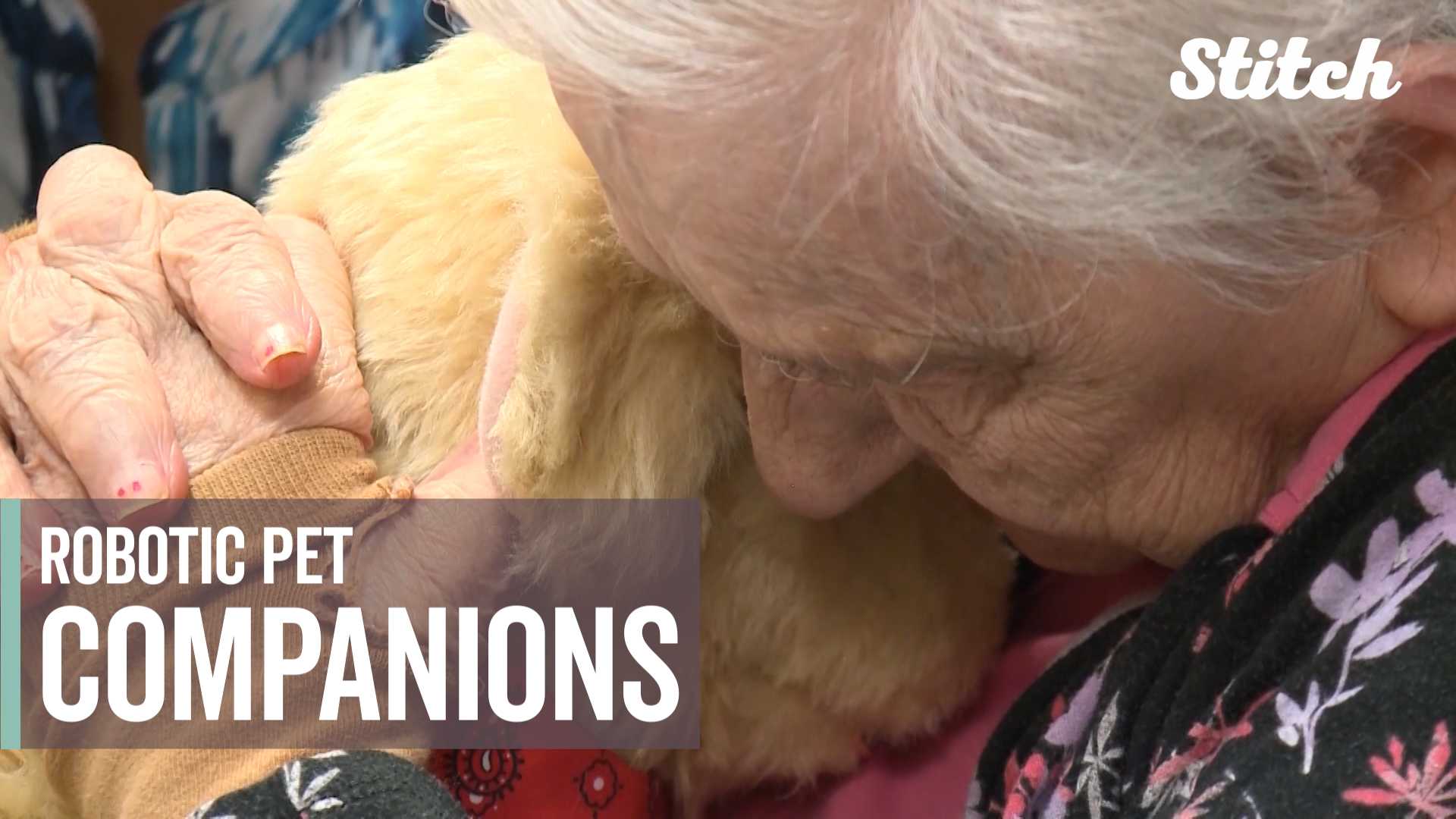 Robotic Pets Provide Companionship, Comfort To Dementia Patients