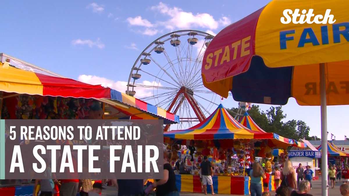 Here are 5 reasons to add 'going to a state fair' to your summer bucket ...