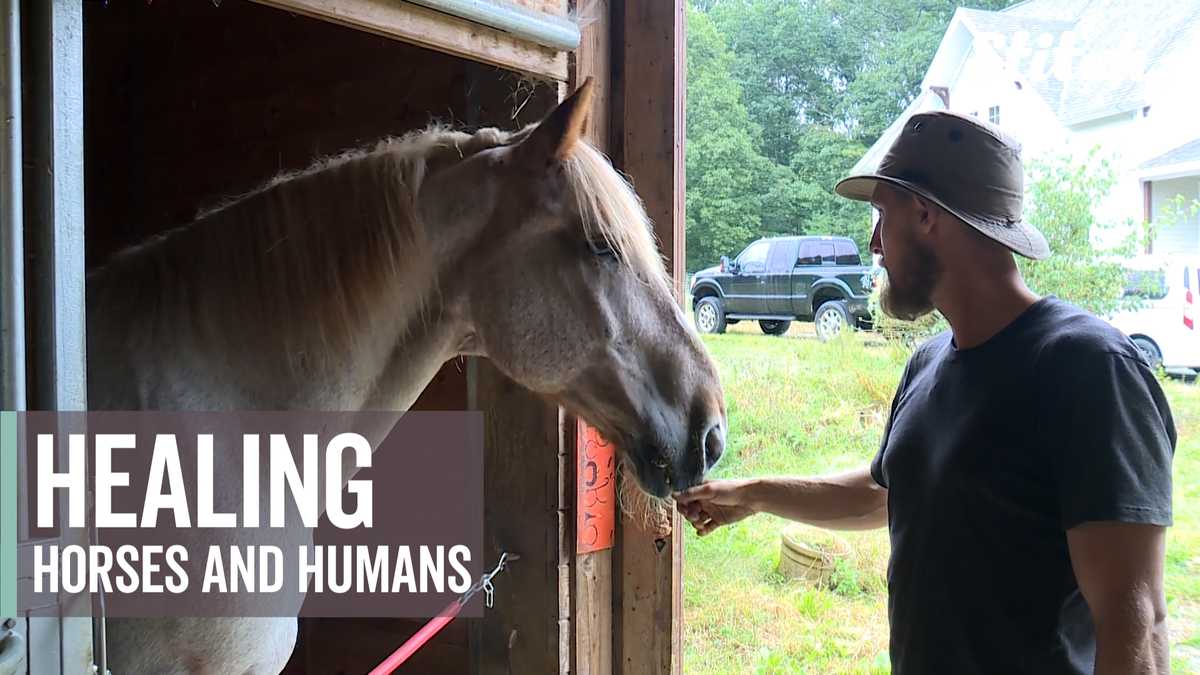 On this farm, humans, horses help each other heal