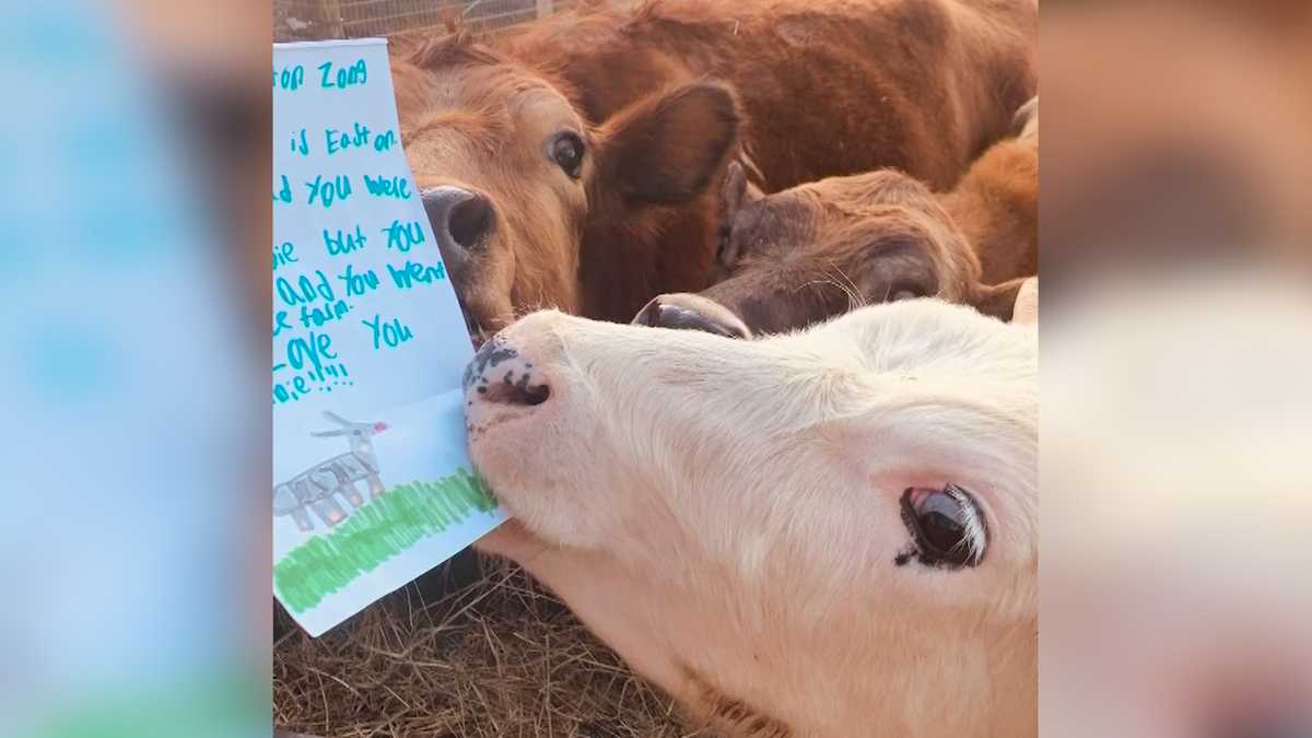 pen pal program animals distance friends farm