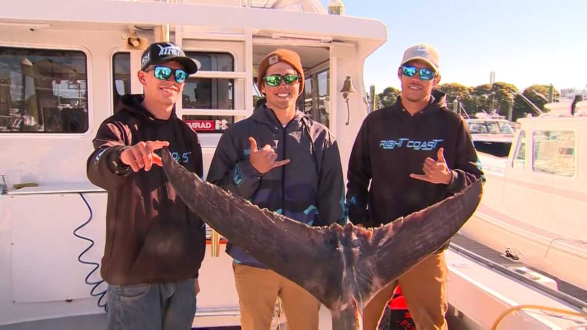 That's a 'reel' big fish: Fishermen reel in 10-foot, 1,000-pound tuna