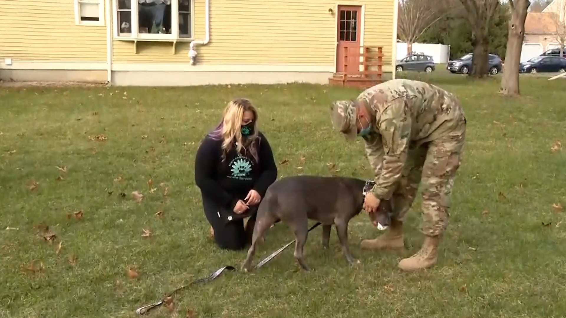 Watch Air Force Sergeant's reunion with his dog - Vimarsana News