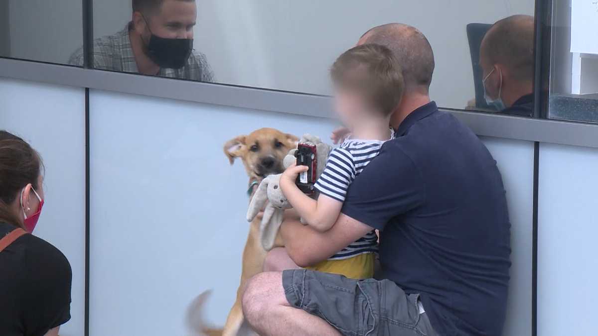 Stolen dog reunited with Mass. family after being apart for weeks