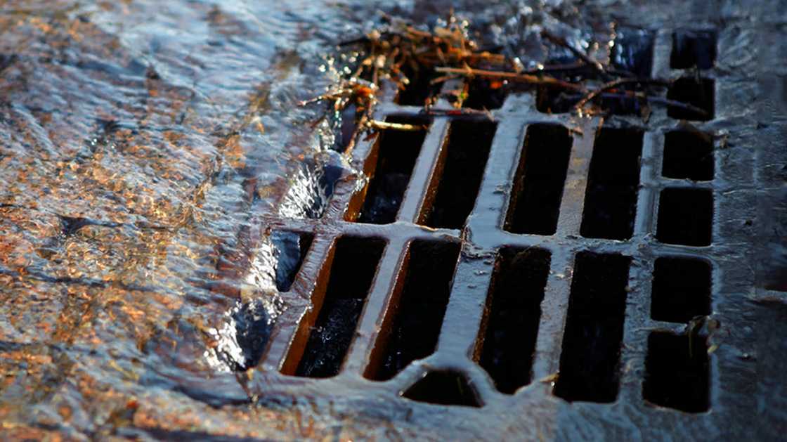 Sewer water overflows in Birmingham, Tuscaloosa after storms, record