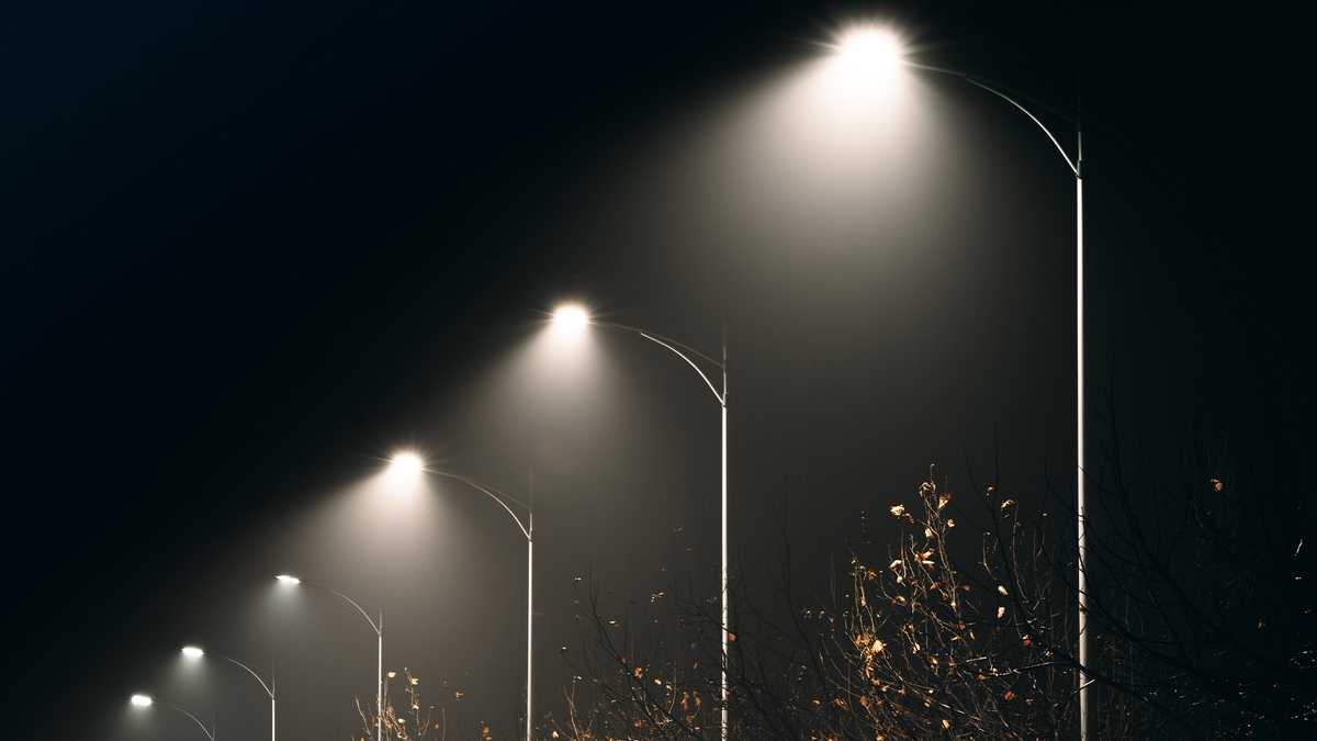 Wildlife, outdoor experts defend new Maine law that requires dimmed outdoor lights