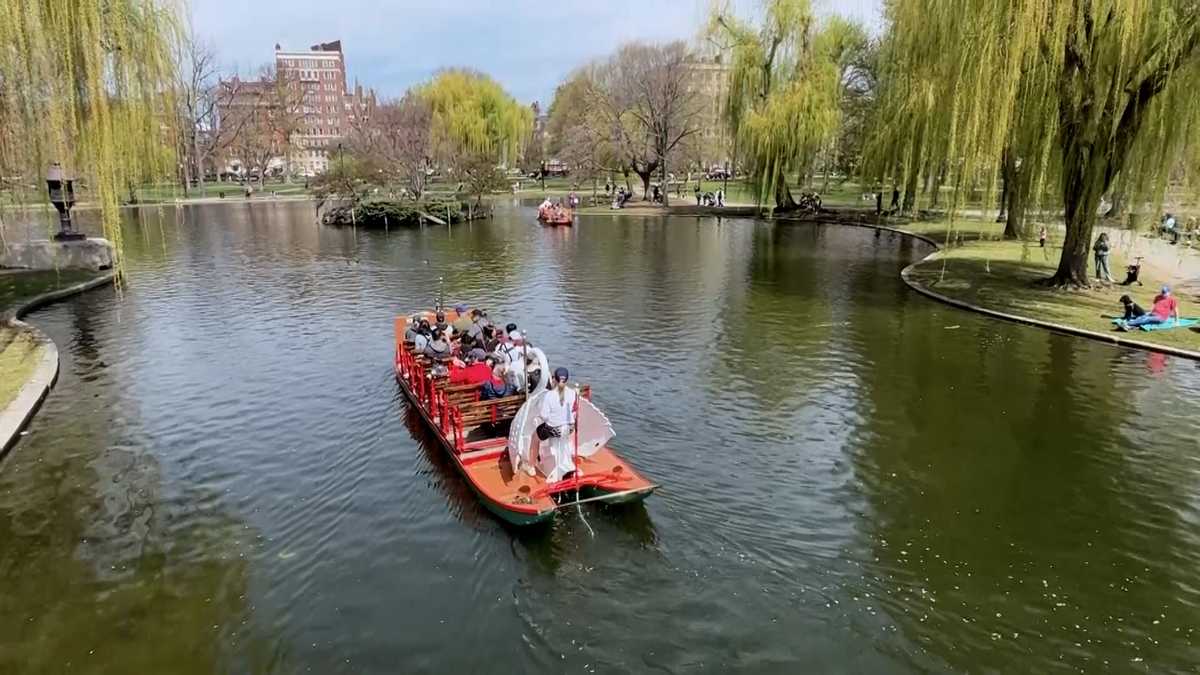 Swan Boat Rides Return To Boston Public Garden For 146th Season