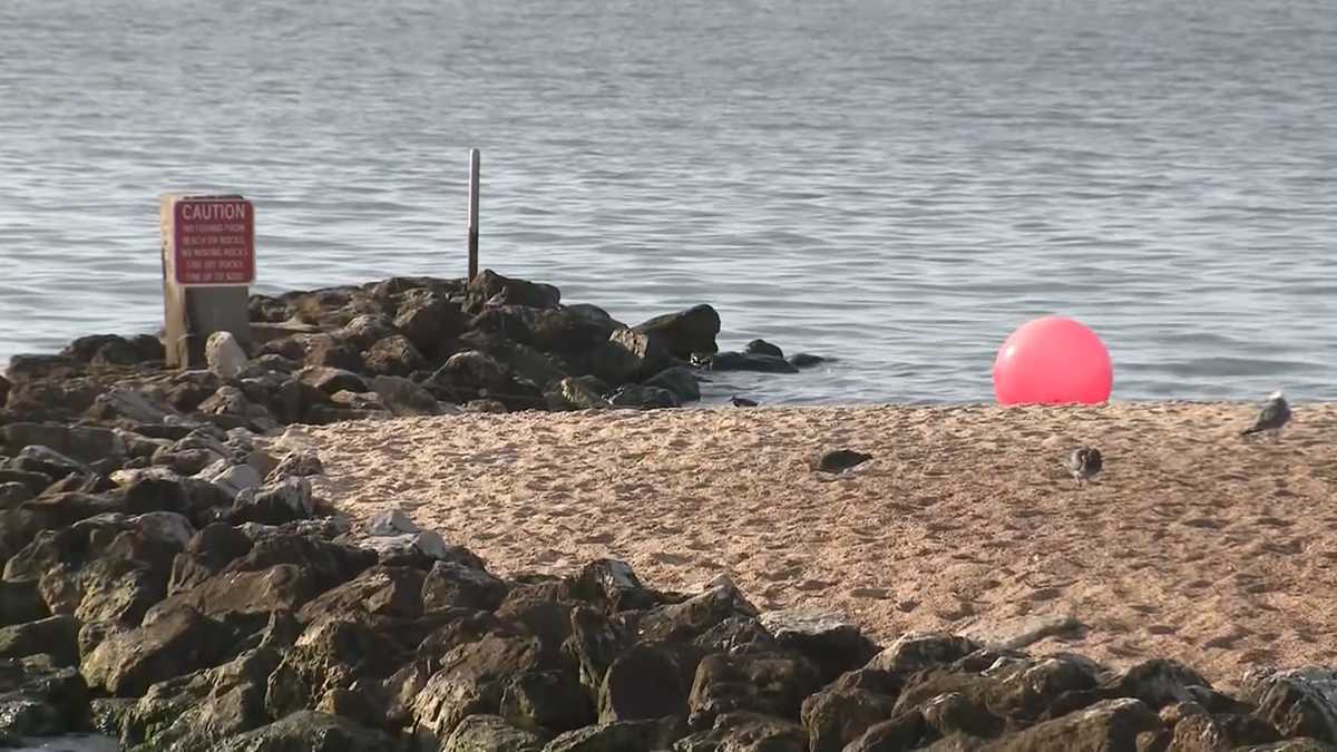 3 siblings drown, 1 survives after waves overtake them while swimming