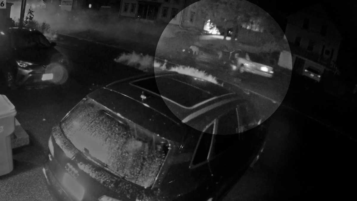 Stolen car spins down street after Massachusetts crash