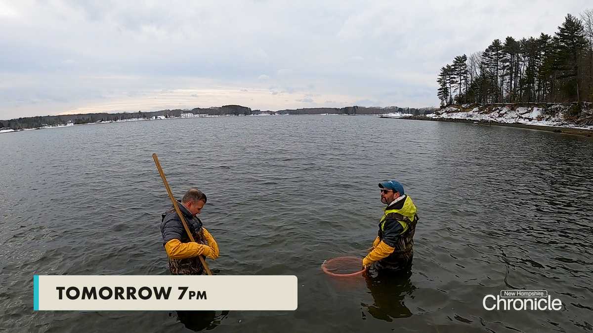 Thursday on New Hampshire Chronicle - Winter Oysters and Wentworth Cheswell