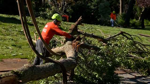 Tree companies hard at work in Mass. after multiple tornadoes hit - Vimarsana News