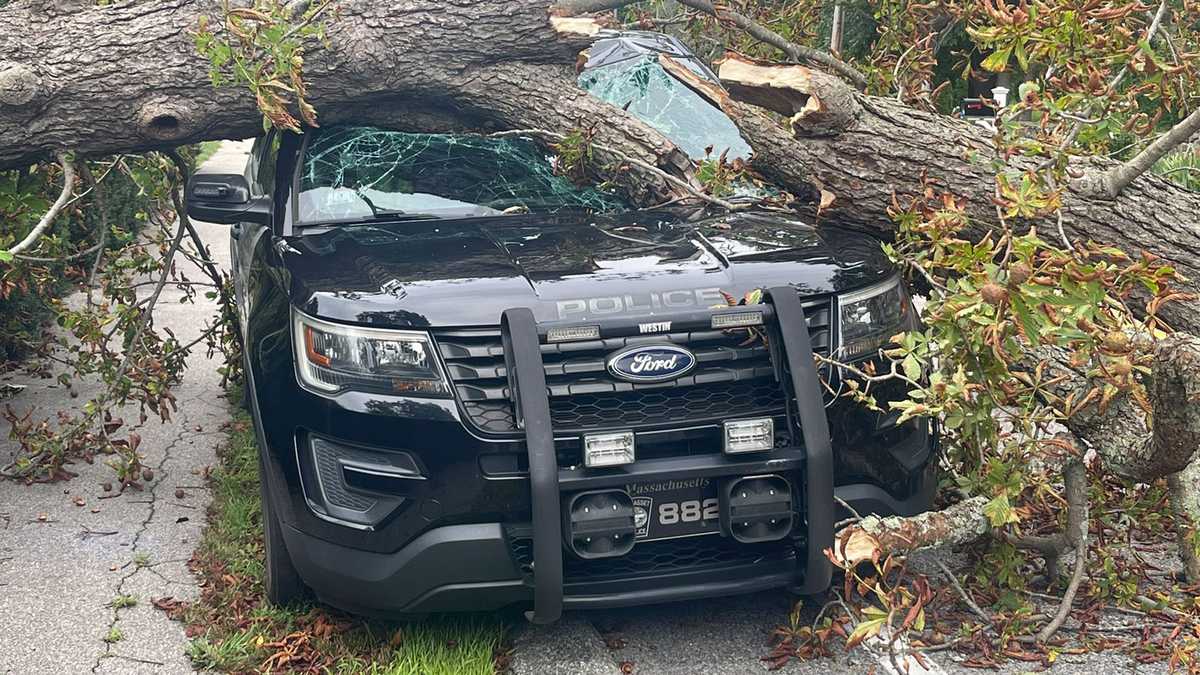 Tree crushes Cohasset cop car as Lee churned in Atlantic
