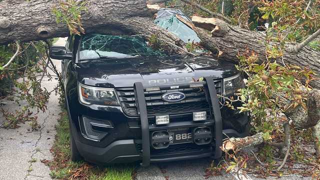 Tree crushes Cohasset cop car as Lee churned in Atlantic - Vimarsana News