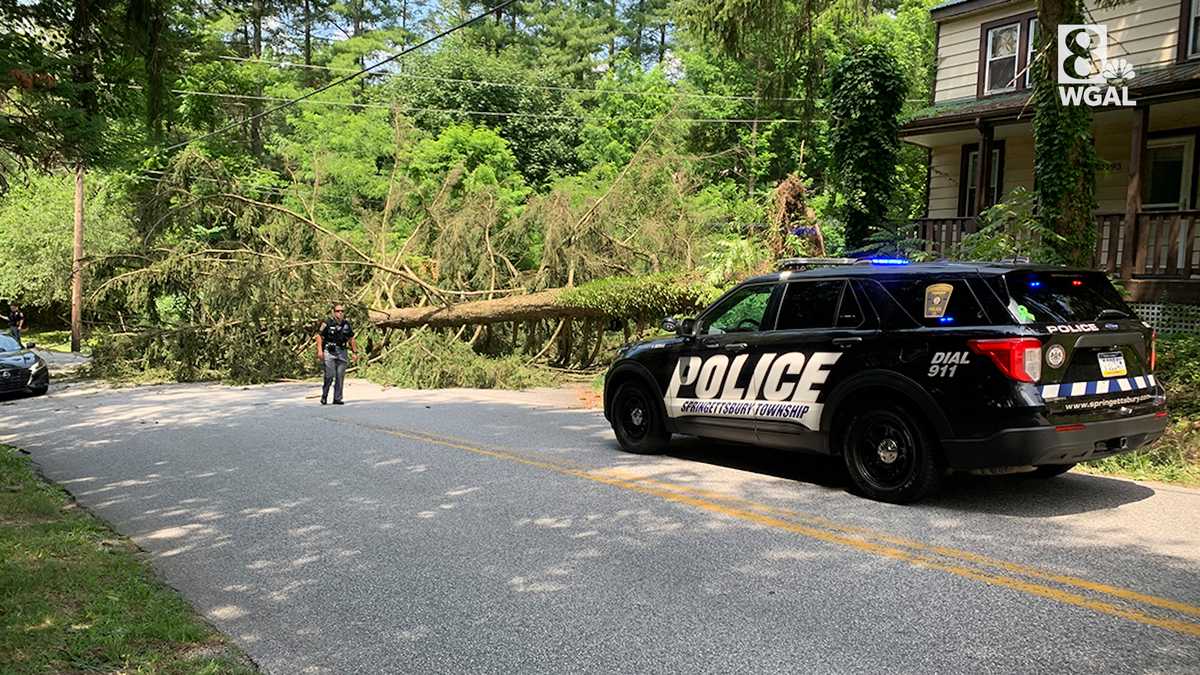 Big tree crashes down in York County, Pa.