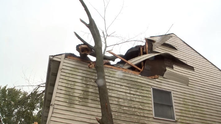 Tree falls on Lancaster home