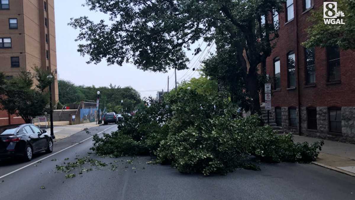Huge branch crashes down on Lancaster city street