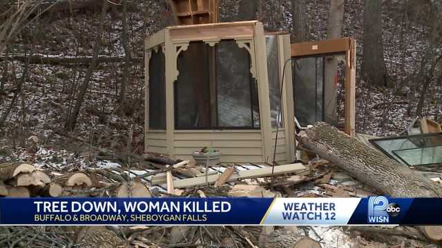 Woman killed when tree crashed down on gazebo where she was sitting - Vimarsana News