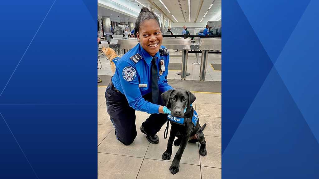 Guide Dogs In Training Get Acclimated To Airport Security guide-dogs-in-training-get-acclimated-to-airport-security