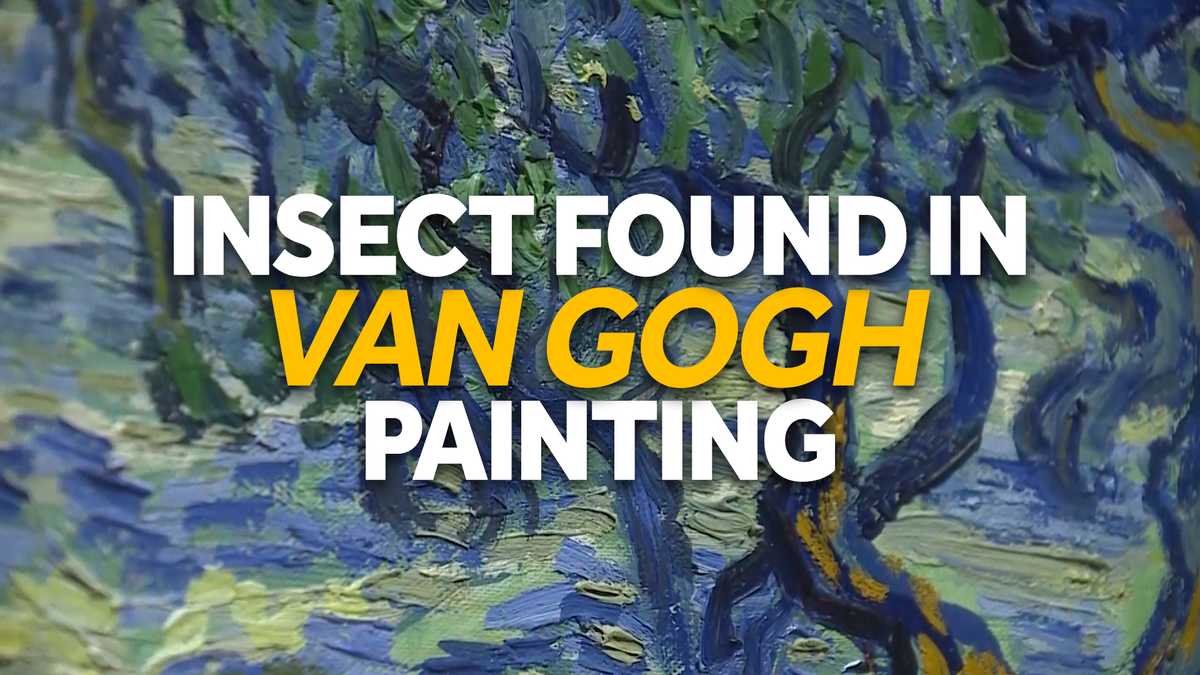 Insect found in van Gogh painting