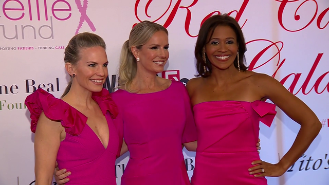 Ellie Fund hosts Red Carpet Gala in Boston to raise money for breast cancer research, treatment - Vimarsana News
