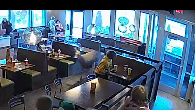 Buck breaks through window during lunch rush at Noodles and Company - Vimarsana News