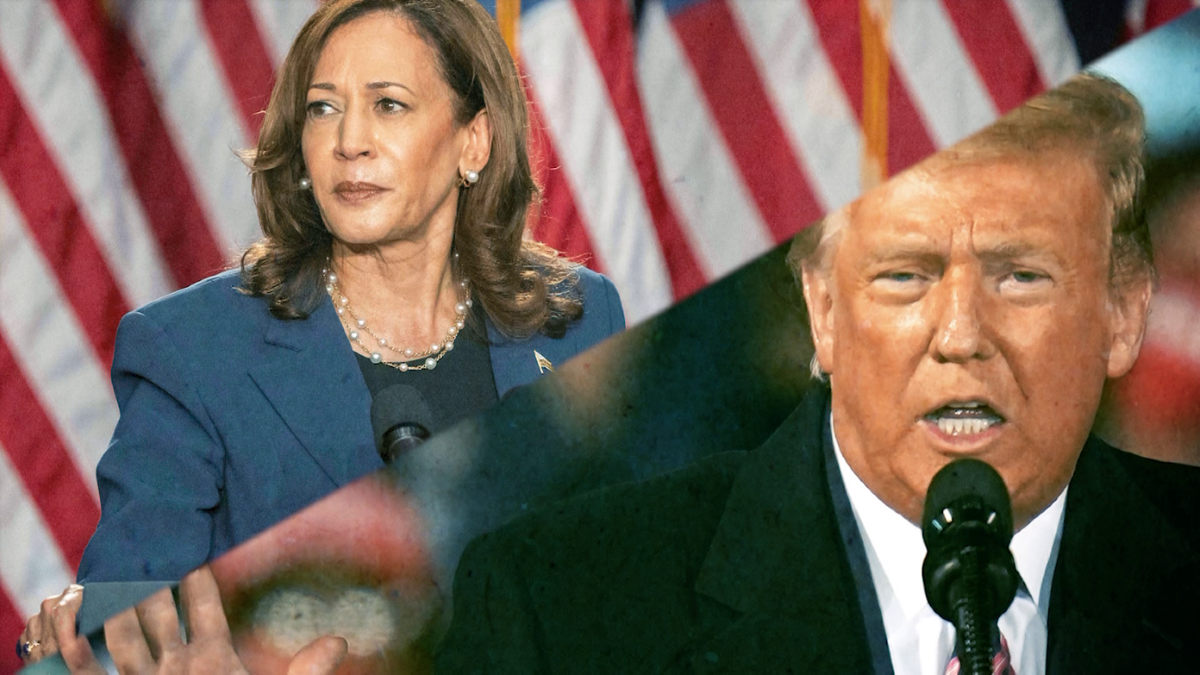 How Harris and Trump differ on tax policies