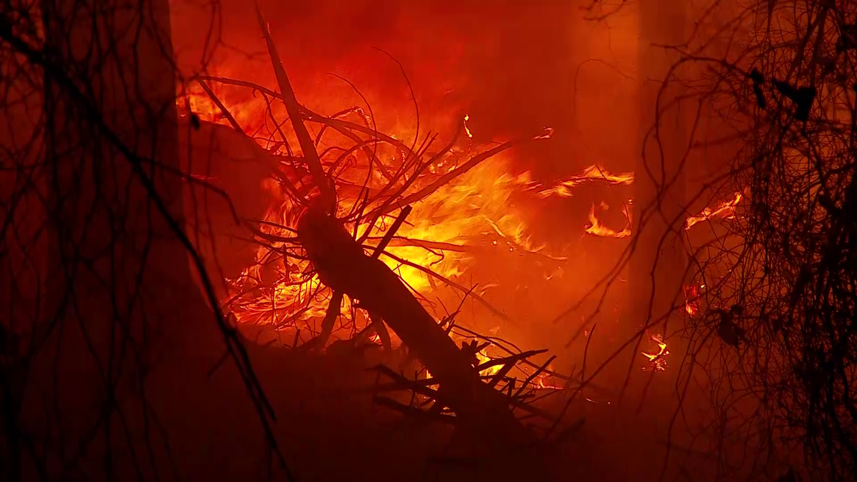 Crews battling brush fire in Blue Hills Reservation in Milton