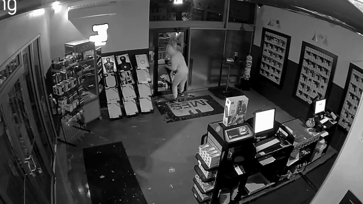 Holliston Gun Store Break-In Steals Two Semi-Automatic Rifles