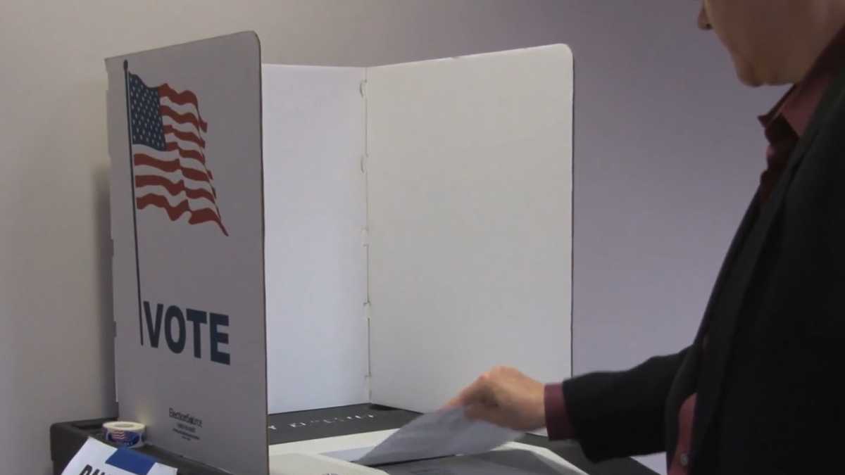 Effingham County voters face key commission races - WJCL