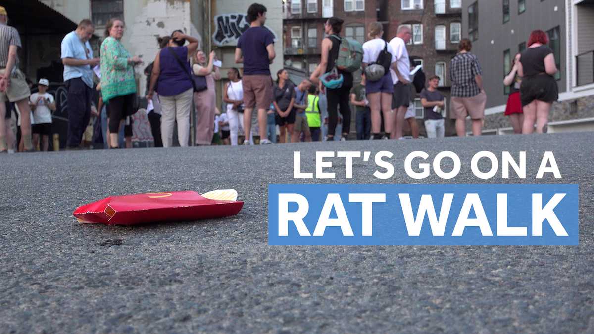 Boston Rat Walk highlights one neighborhood's rodent hotspots