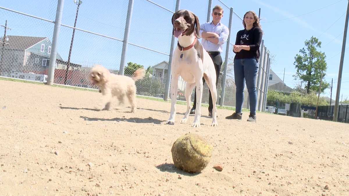 dating site for dogs