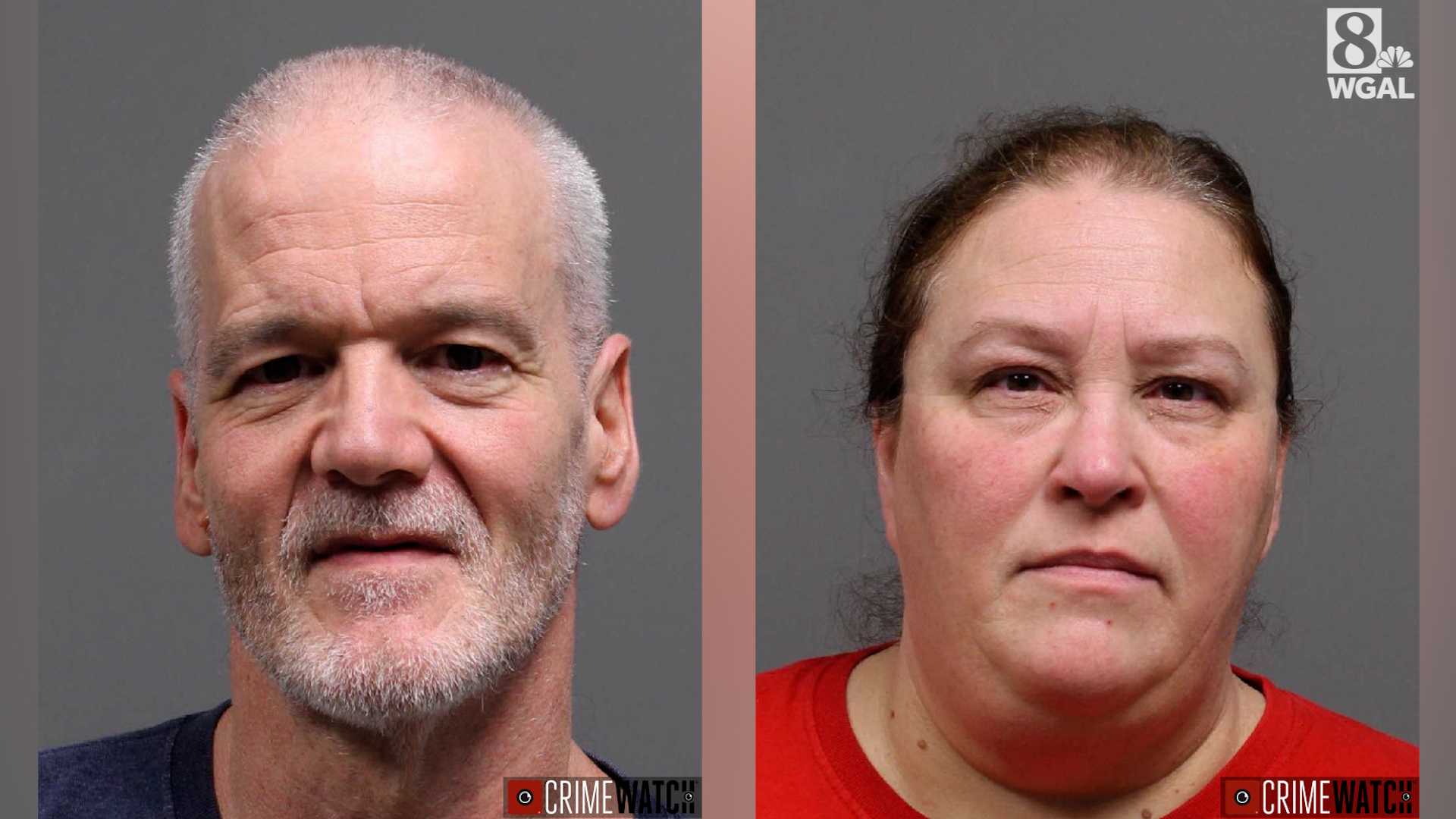 Husband, wife charged with cruelty to animals in Lancaster County, Pa.