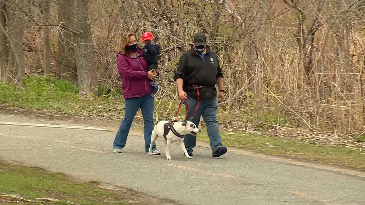 Woman, dog have close call with coyote after several sightings in Cambridge