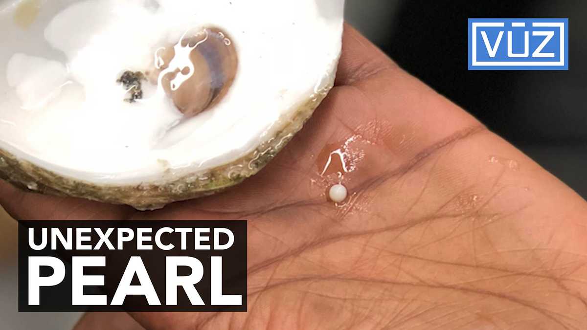 Woman makes rare find during office gathering
