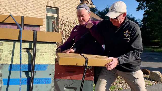 Woman accused of weaponizing bees to stop officers trying to enforce eviction