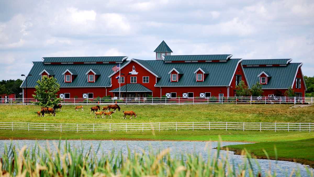 Boonville's Budweiser Clydesdale ranch hosting famous hitch