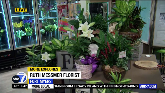 More Explores: Ruth Messmer Florist - Vimarsana News
