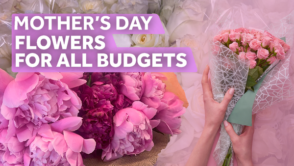find out the top flower delivery services, budget-friendly options, and tips to make your mother's day blooms last longer.