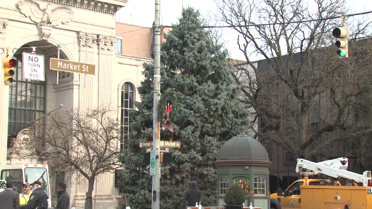 York's Christmas tree arrives