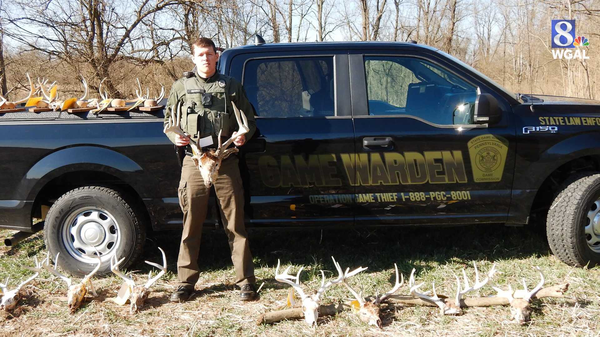 Poaching case found in York County, Pennsylvania Game Commission says