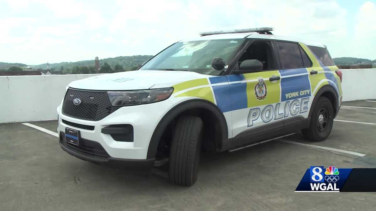 York City's new police vehicle has British design