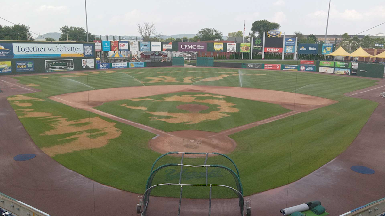 York Revolution playing field vandalized - Vimarsana News