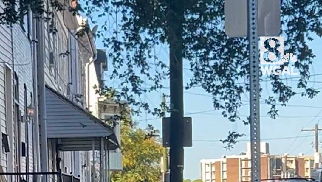 Coroner identifies man shot, killed after fight in York County, Pa.