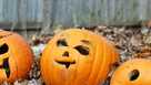 Rotting Pumpkins