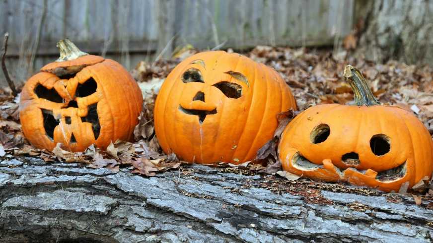 7 easy ways to keep your jack-o'-lanterns from rotting